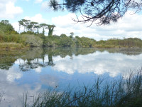 Marais de Mousterlin